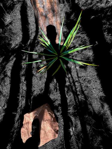 Self portrait with rock